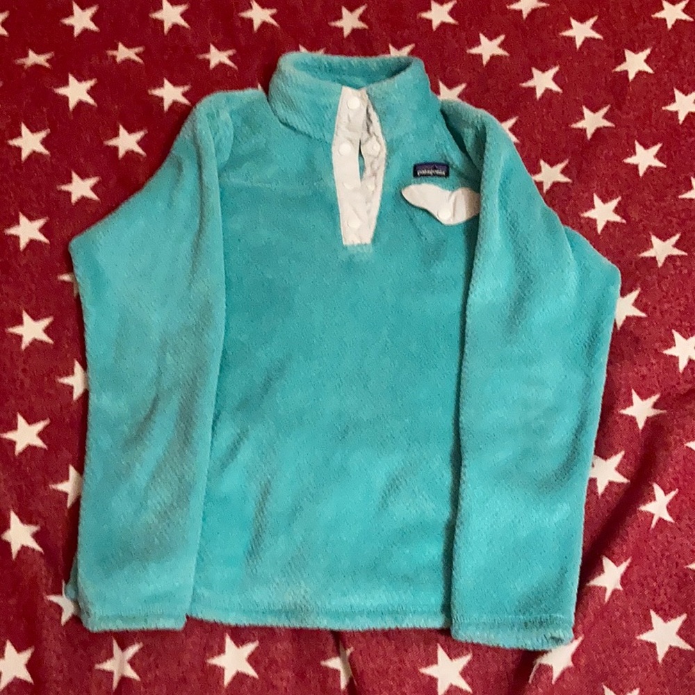 Mint green Patagonia sweatshirt